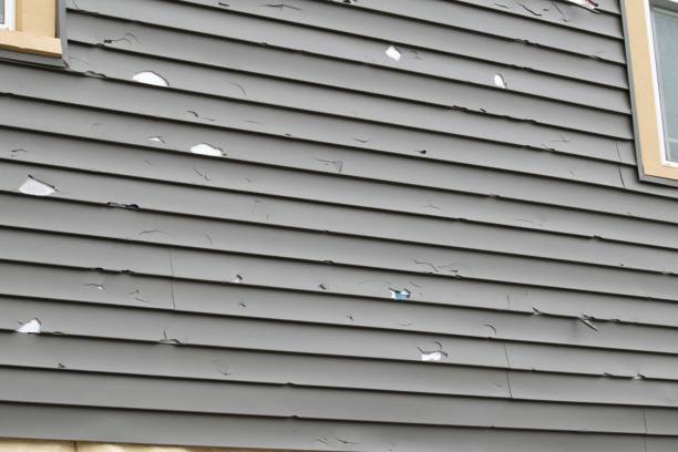 Affordable siding repair and maintenance services in South Hill, VA